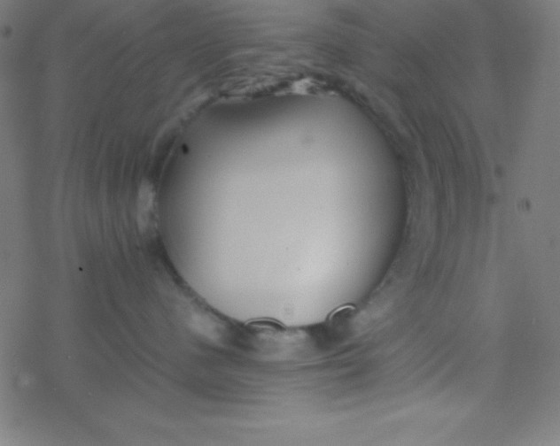 X0000077380480200611101734