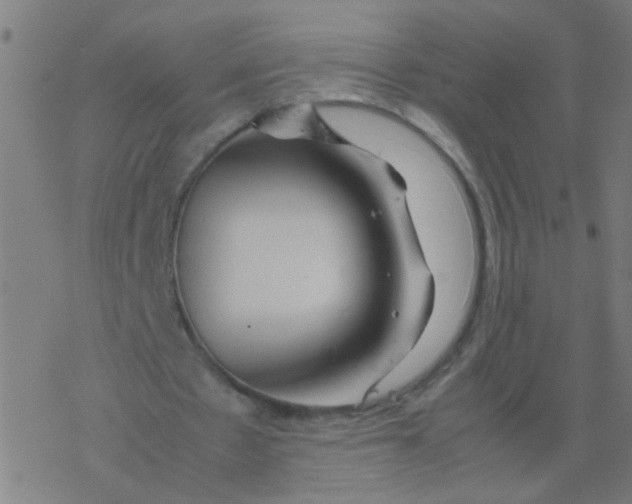 X0000077380481200611101733