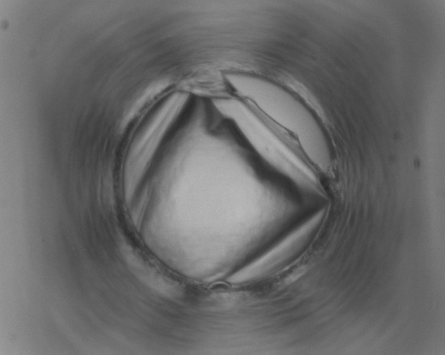 X0000077380482200611101733