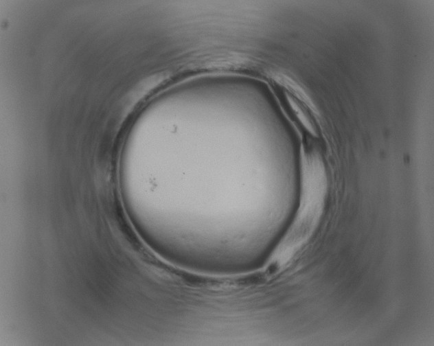 X0000077380483200611101733