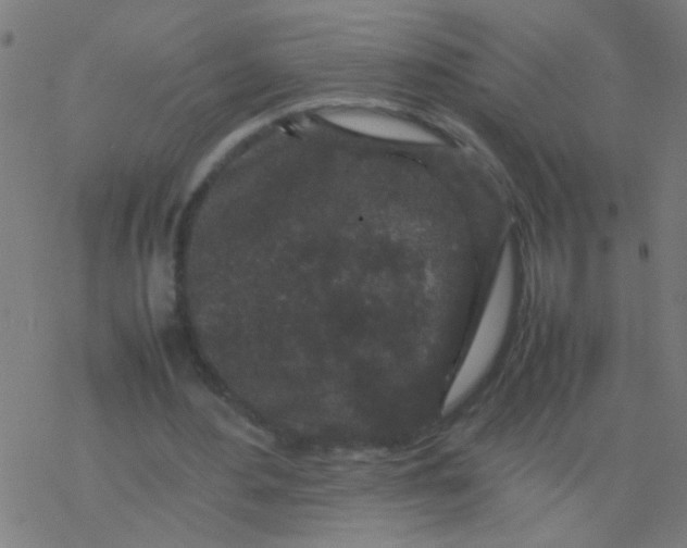 X0000077380484200611101733