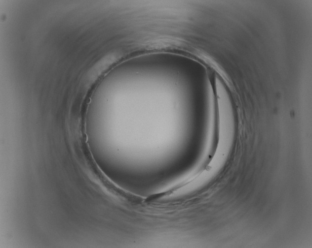 X0000077380485200611101733