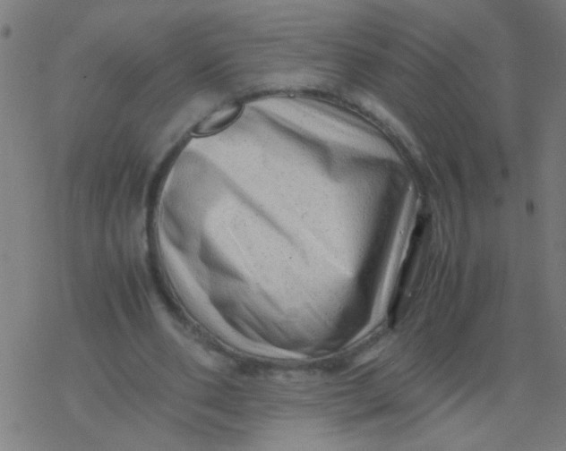 X0000077380486200611101733