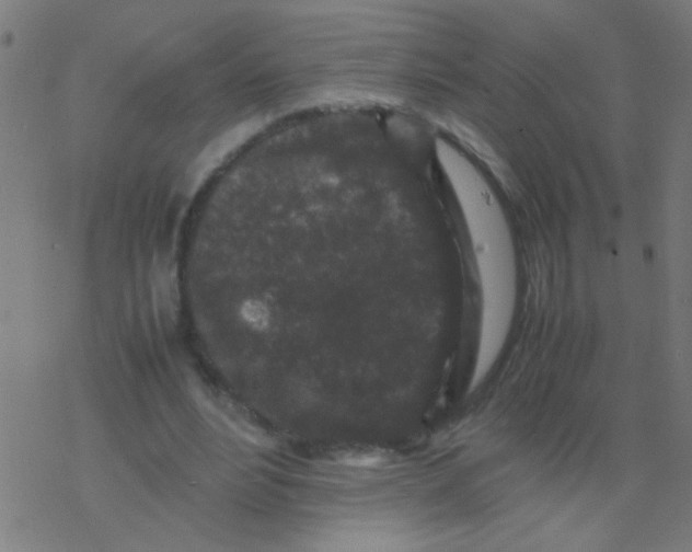 X0000077380488200611101733