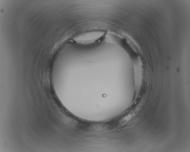 X0000077380489200611101733