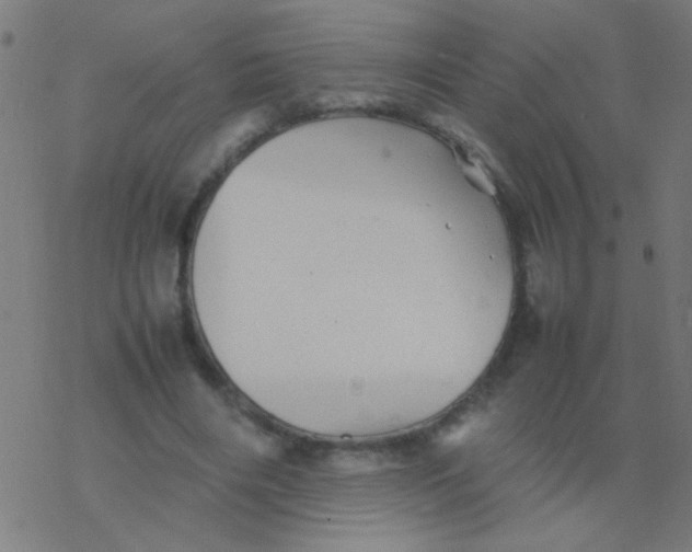 X0000077380490200611101733