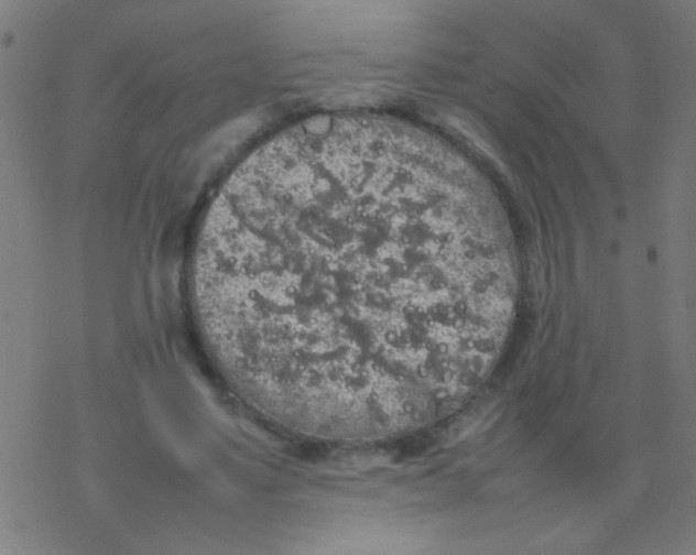 X0000077380491200611101733