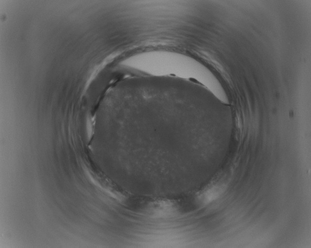 X0000077380492200611101733