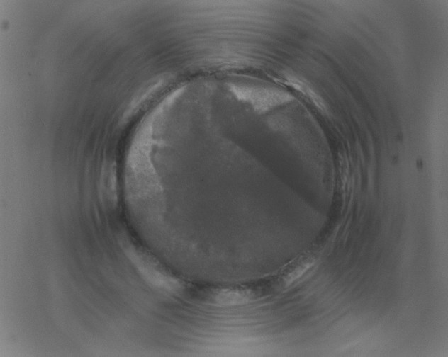 X0000077380494200611101733