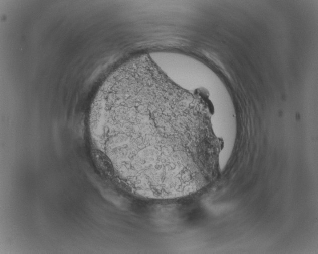 X0000077380495200611101733