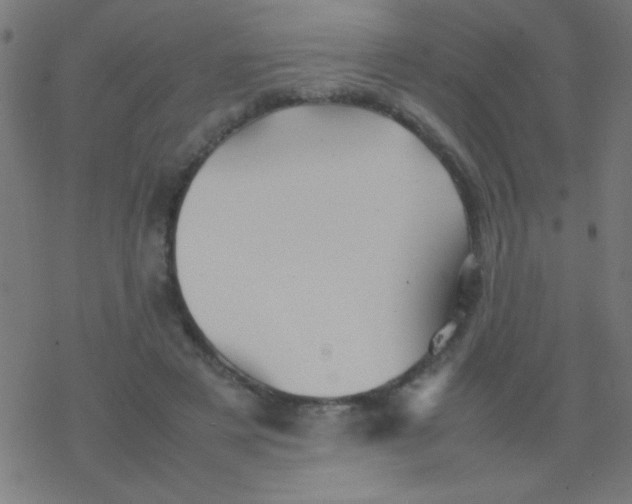 X0000077380497200611101733