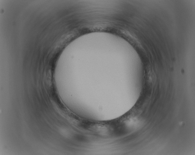 X0000077380498200611101733