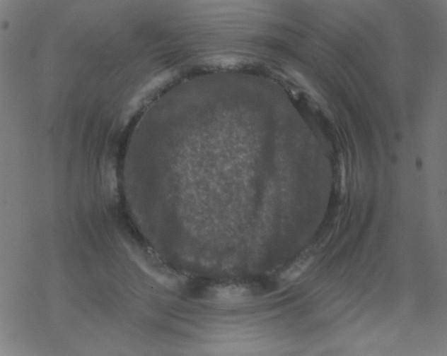 X0000077380500200611101733