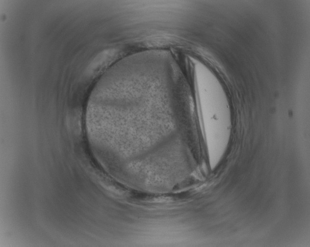 X0000077380501200611101733