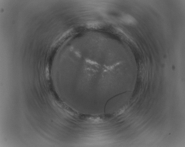 X0000077380502200611101733