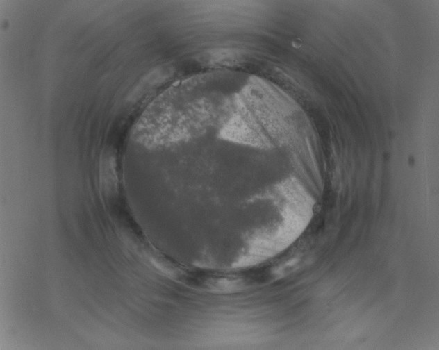 X0000077380506200611101733