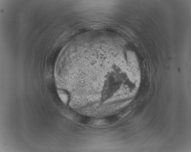 X0000077380507200611101733