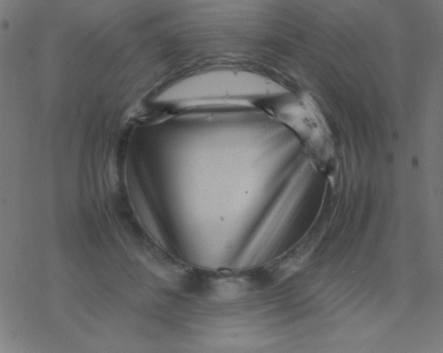 X0000077380508200611101733