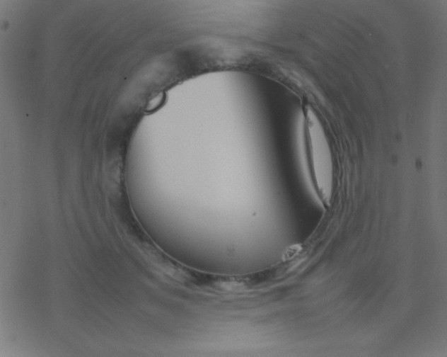 X0000077380509200611101733