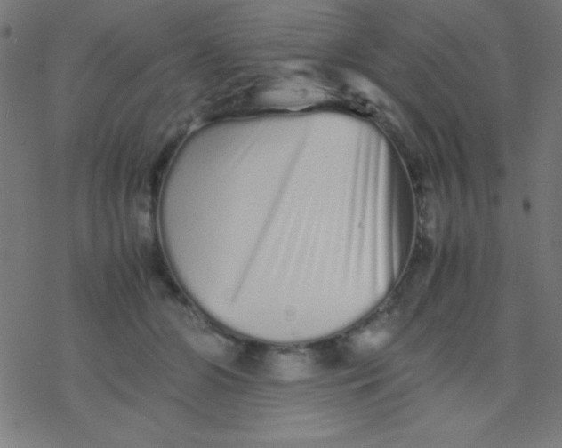 X0000077380510200611101733