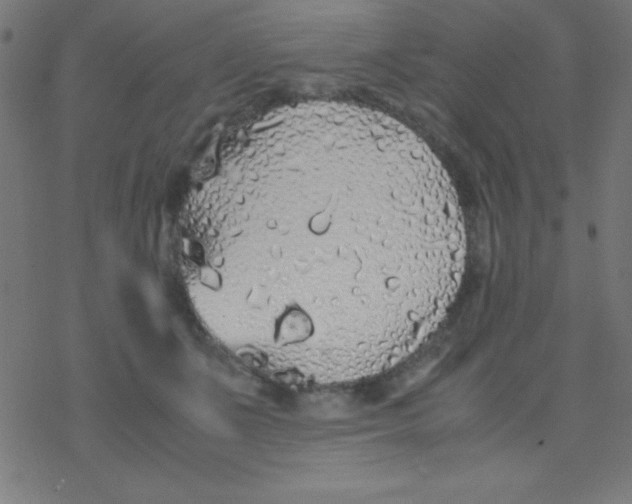 X0000077380511200611101733