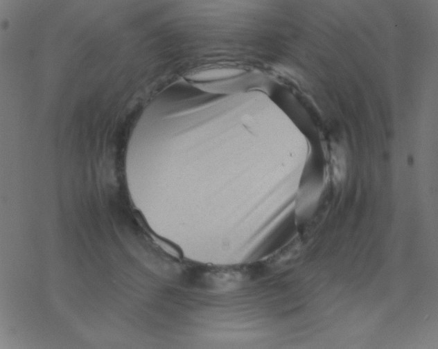 X0000077380512200611101733