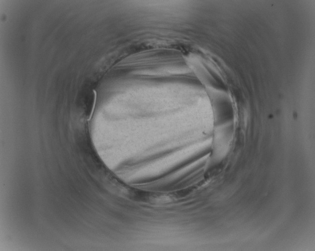 X0000077380513200611101733