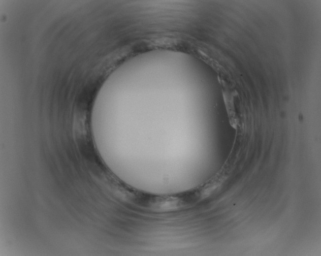 X0000077380514200611101733