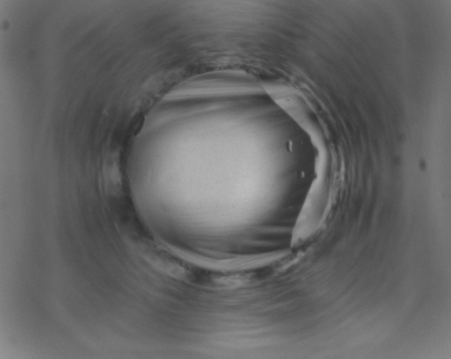 X0000077380516200611101733