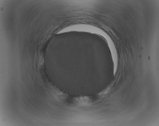 X0000077380517200611101733