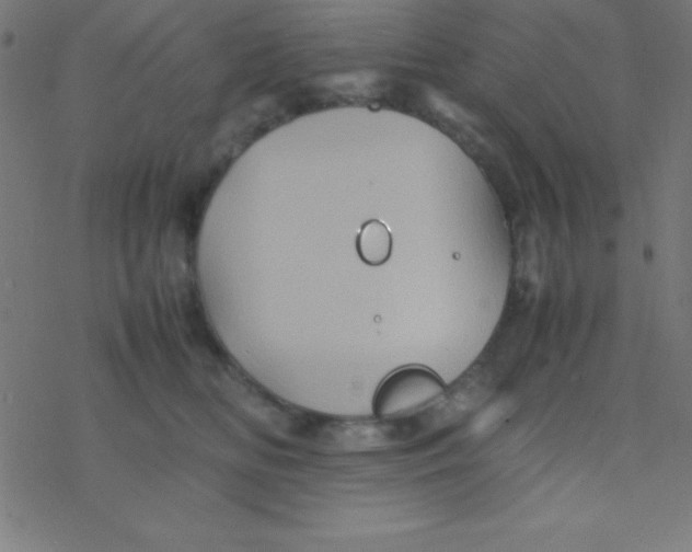 X0000077380518200611101733