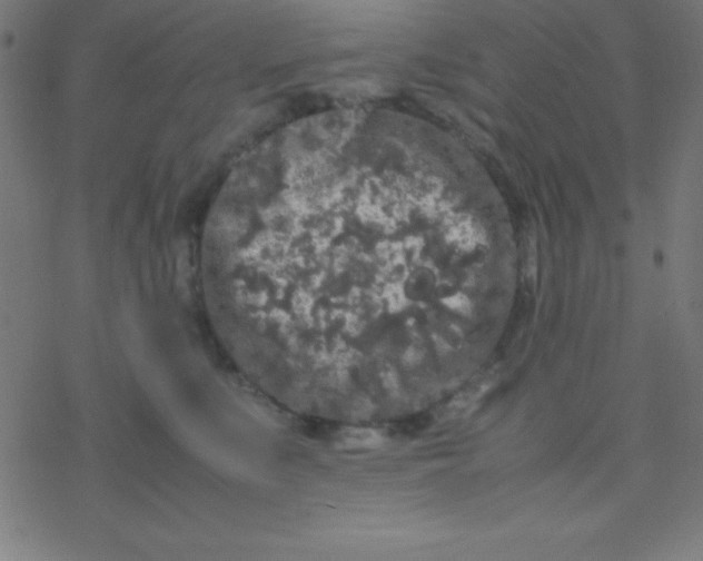 X0000077380519200611101732