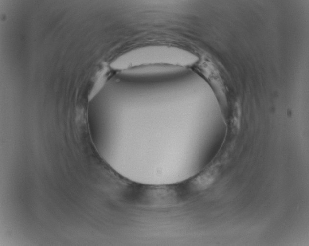 X0000077380521200611101732