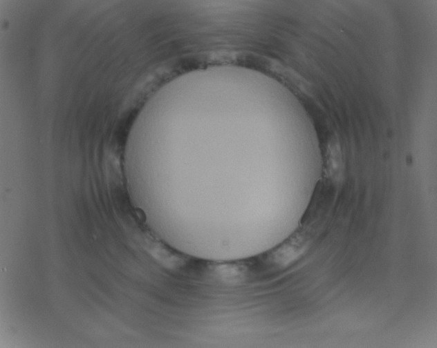 X0000077380522200611101732