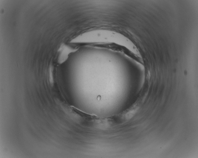 X0000077380524200611101732