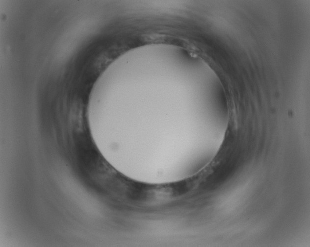 X0000077380525200611101732