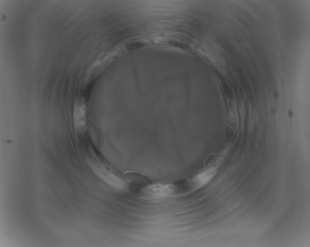 X0000077380526200611101732