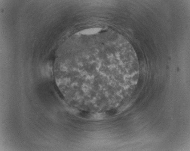 X0000077380527200611101732