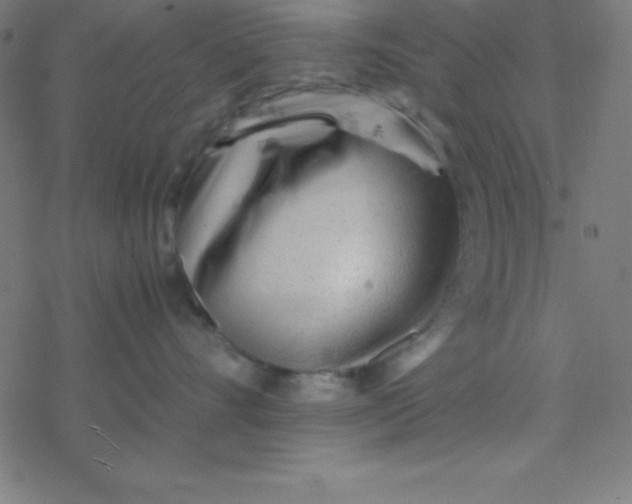 X0000077380528200611101732