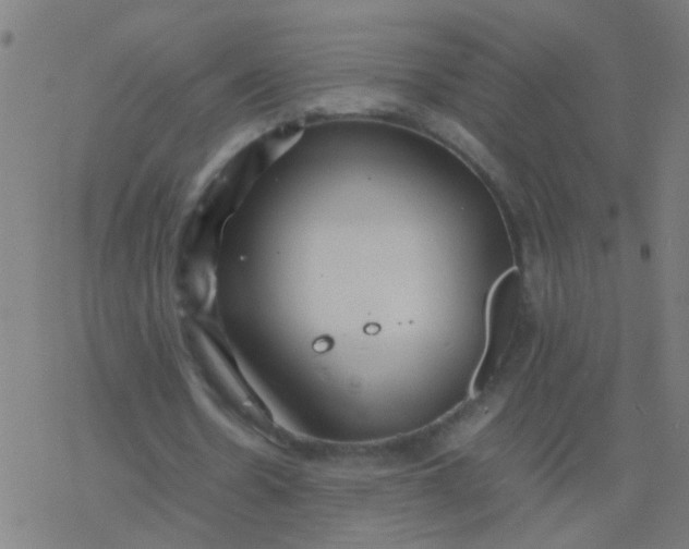 X0000077380530200611101732