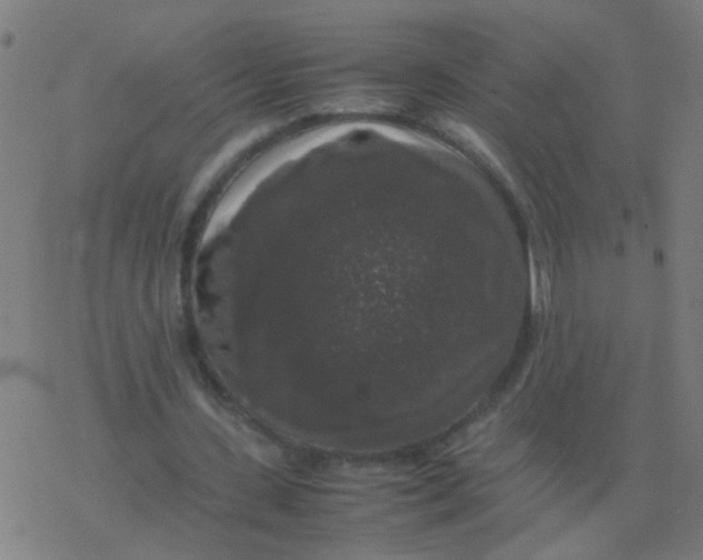 X0000077380531200611101732