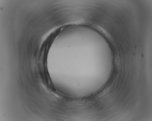 X0000077380532200611101732