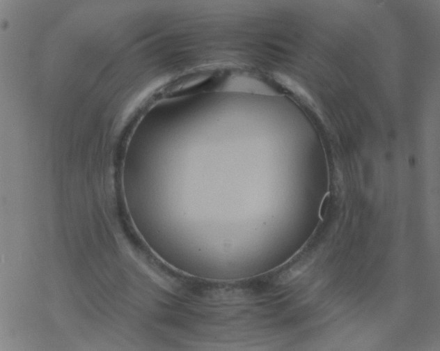 X0000077380535200611101732