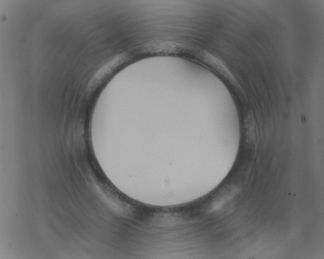 X0000077380538200611101732