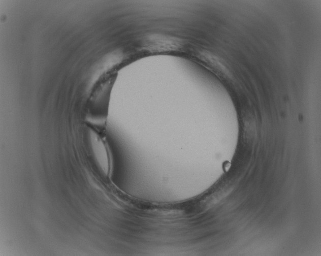 X0000077380539200611101732