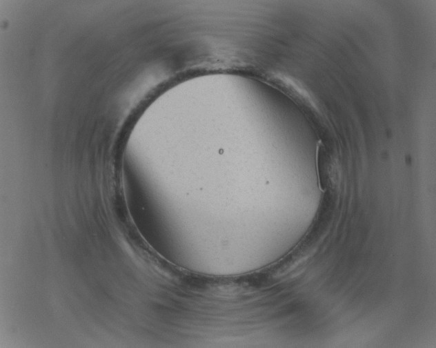 X0000077380540200611101732