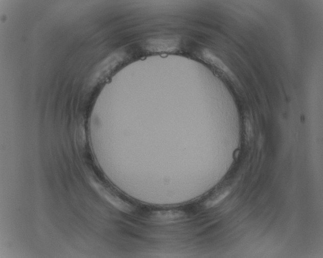 X0000077380541200611101732