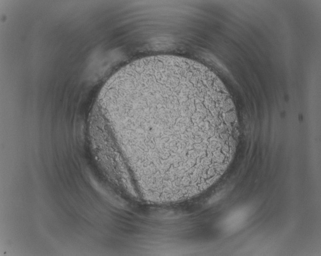 X0000077380542200611101732