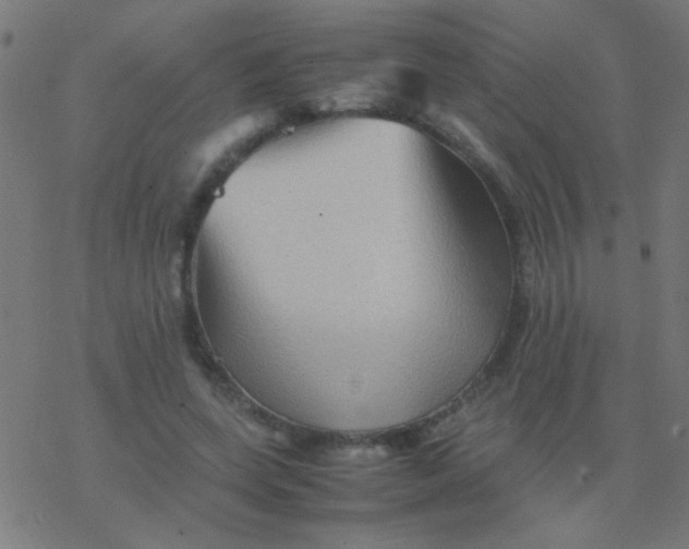 X0000077380543200611101732