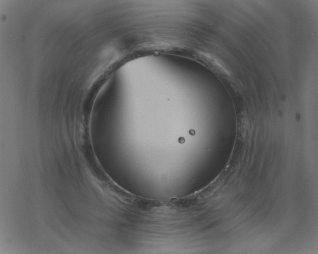 X0000077380544200611101732